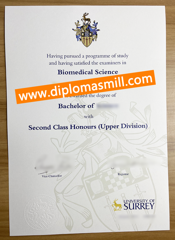 University of Surrey Diploma for sale
