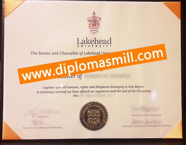 Pick up fake Lakehead University diploma